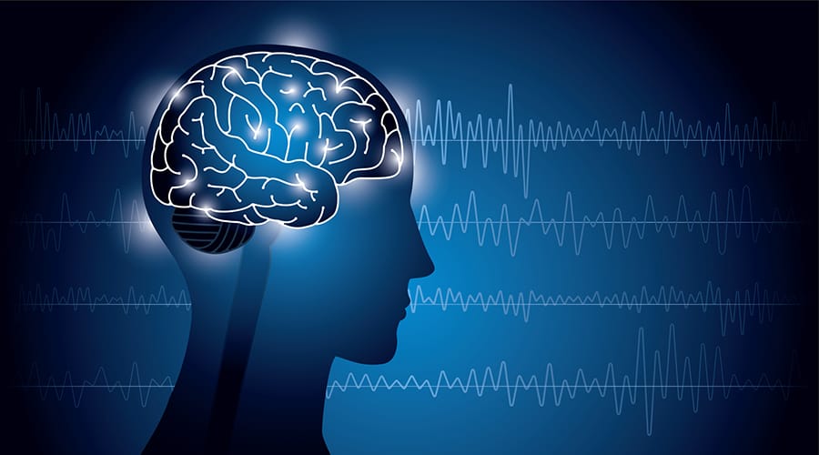 Scientists Search for Ways to Turn Brain Signals into Speech