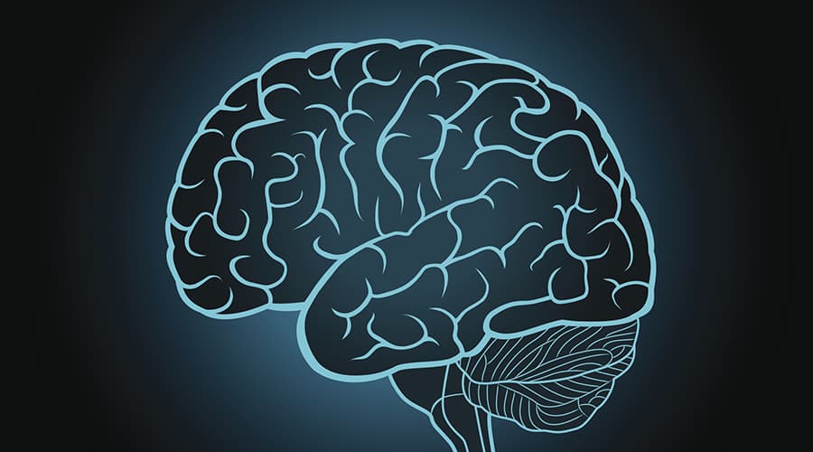 Study: Certain Brain Regions Critical to Speech After Stroke