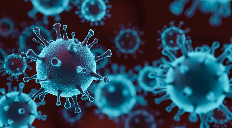 Coronavirus Update for March 31, 2020