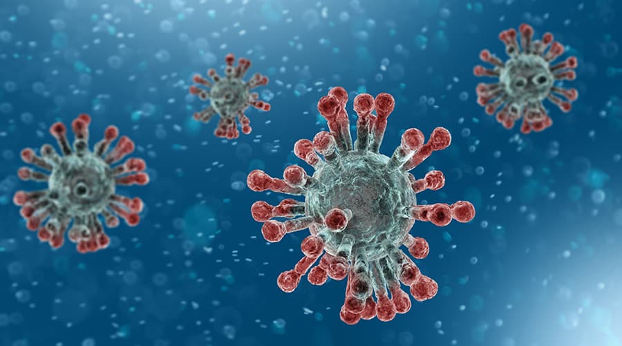 Coronavirus Update – May 25, 2020