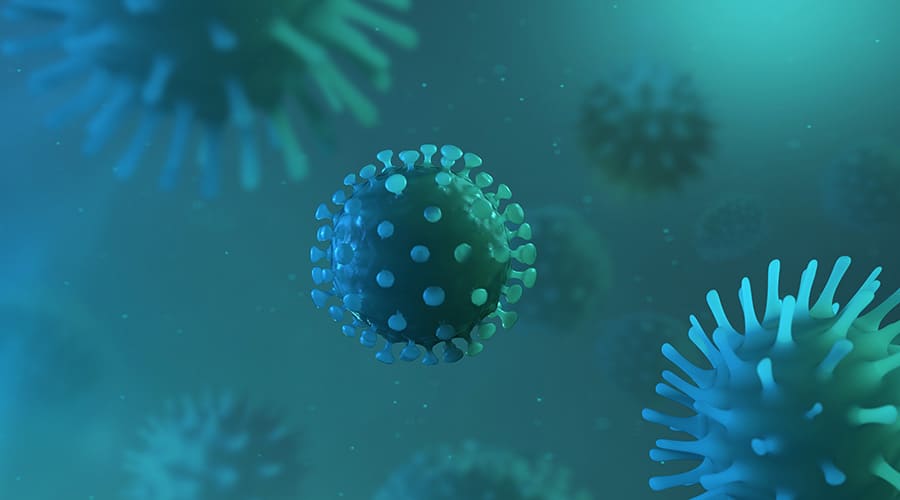 Your Coronavirus Update for August 24, 2020